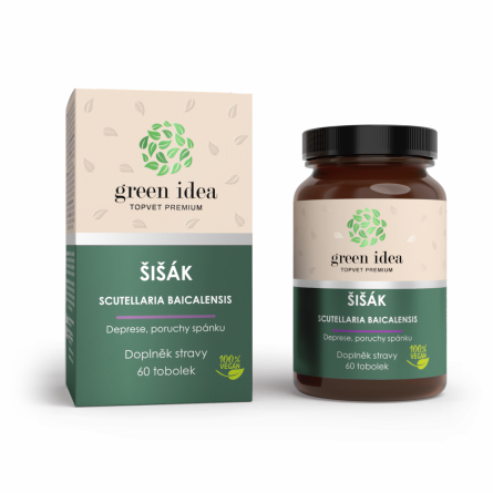 GREEN IDEA Šišák bylinný extrakt 60 tobolek