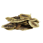LEROS List senny porcovaný čaj 20x1 g