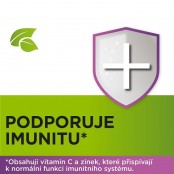 Strepherbal Černý bez a Echinacea 24 pastilek