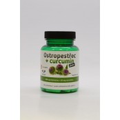 GALMED Ostropestřec + curcumin forte 60 kapslí