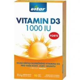 REVITAL Vitamin D3 1000 IU forte malina 90 tablet
