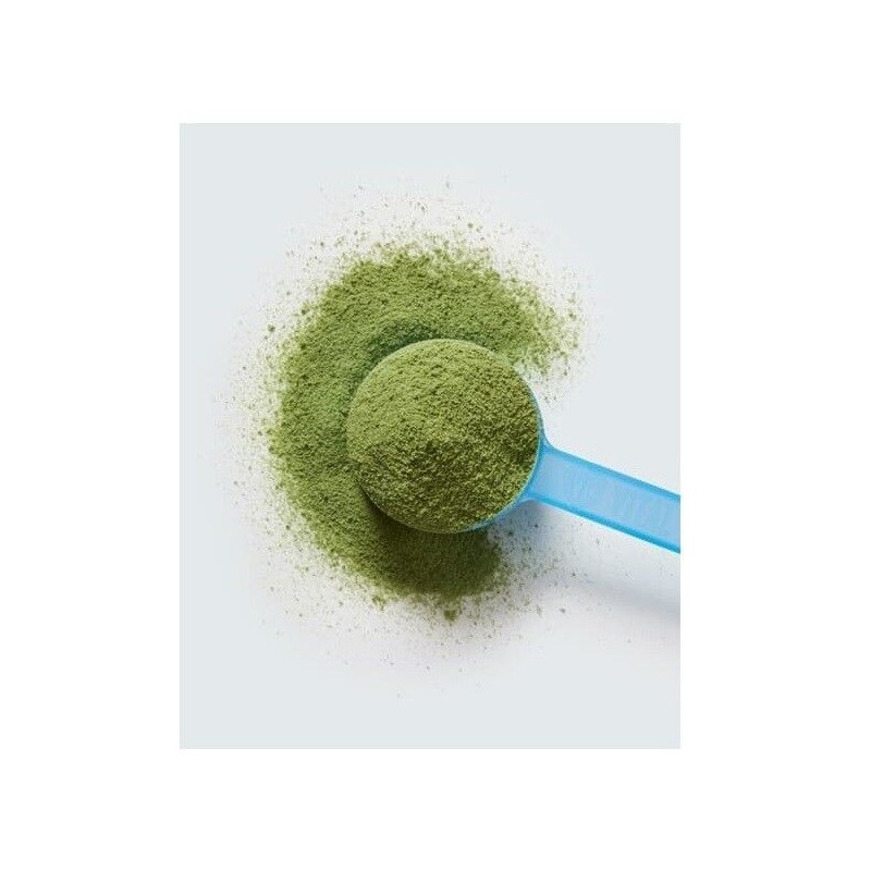 VITAL PROTEINS Matcha collagen 341 g