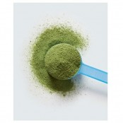 VITAL PROTEINS Matcha collagen 341 g