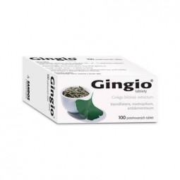 GINGIO 40 mg 100 potahovaných tablet
