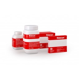 WOBENZYM 40 tablet