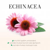 GREEN IDEA Echinacea sirup třtinový 250 ml