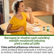 IBEROGAST perorální kapky 20 ml