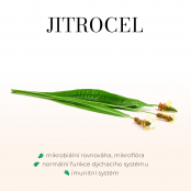 GREEN IDEA Jitrocelový třtinový sirup 250 ml