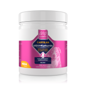 ALTERVET CARTILAN MSM + Kurkumin MEGA 300 tablet ALTERVET CARTILAN MSM + Kurkumin MEGA 300 tablet