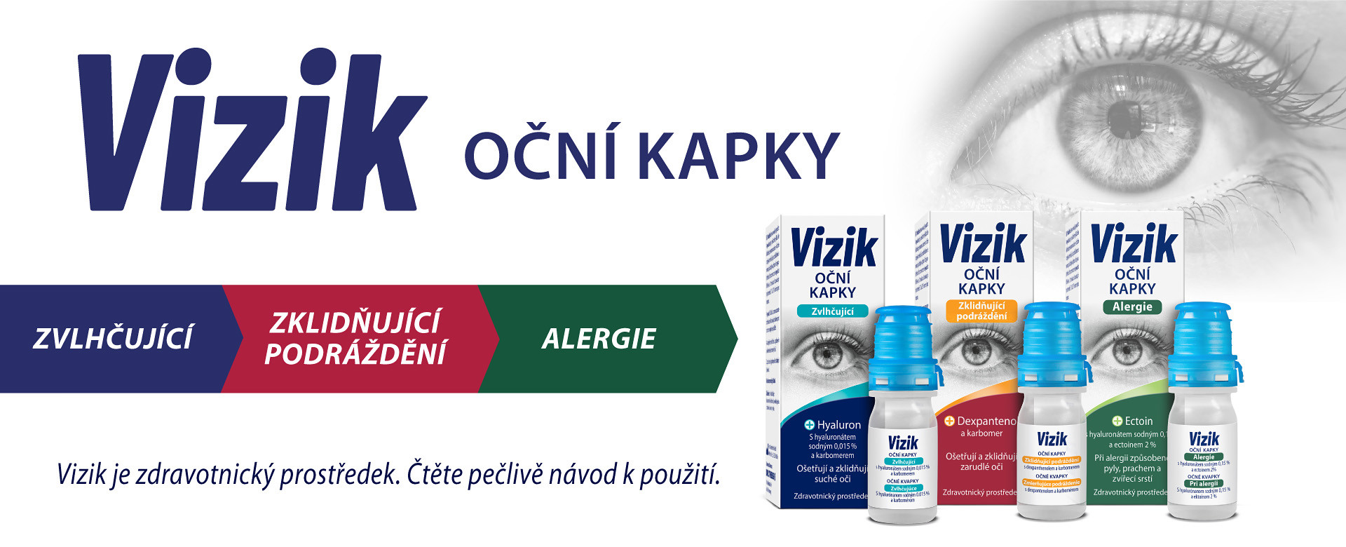 Vizik 